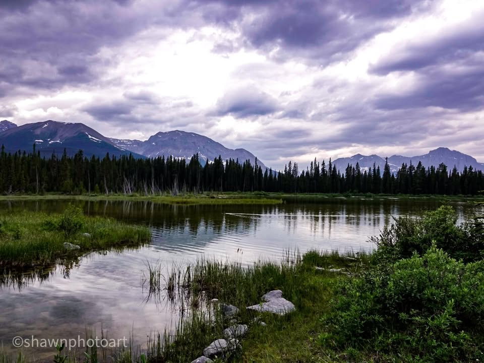 From the journey — Day 1, 11 June 2023