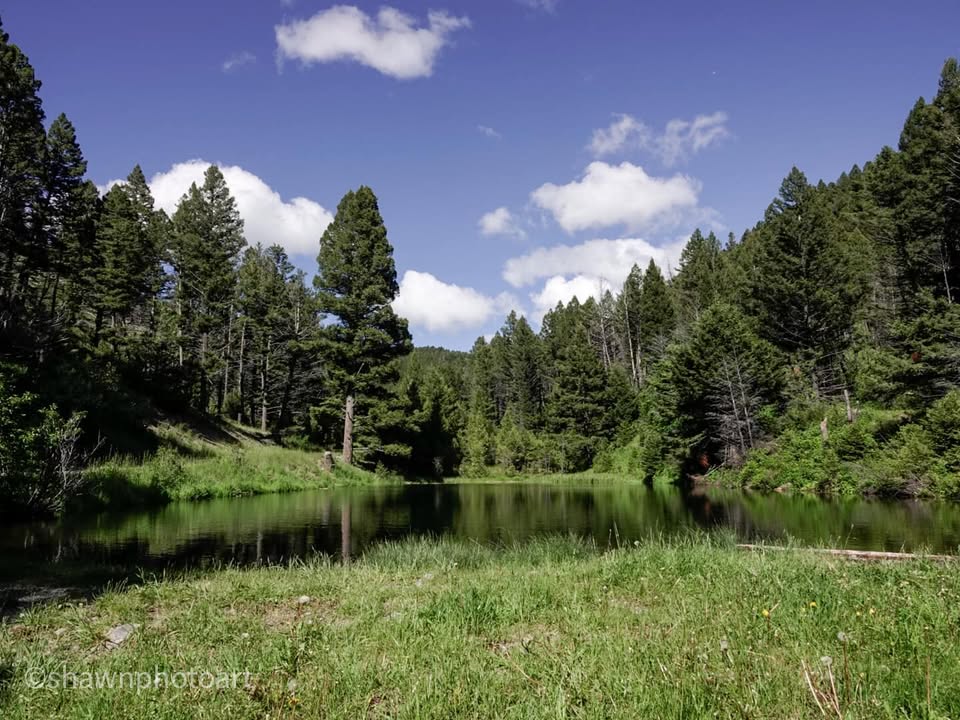 From the journey — Day 10, 19 June 2023