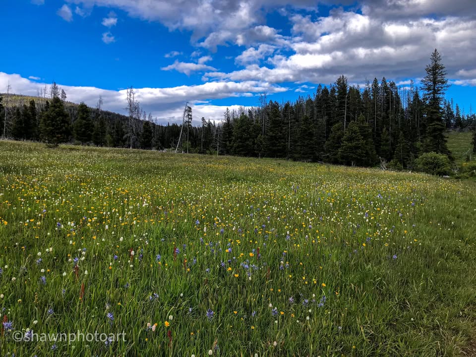 From the journey — Day 10, 19 June 2023