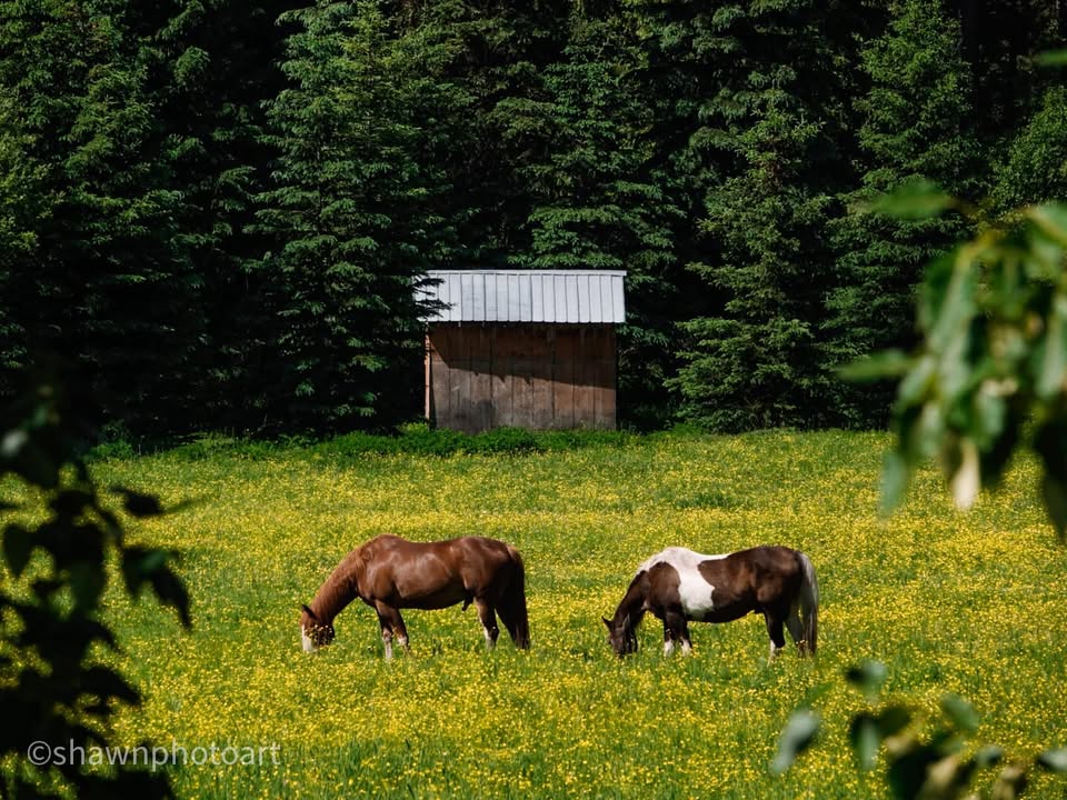 From the journey — Day 3, 12 June 2023