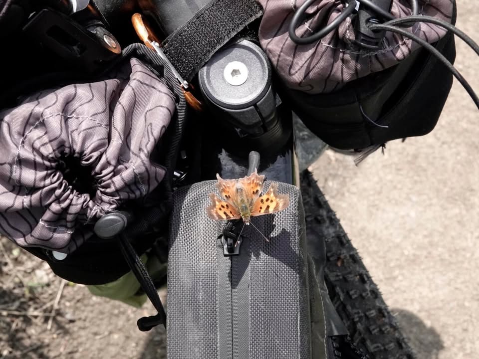 From the journey — Day 4, 13 June 2023