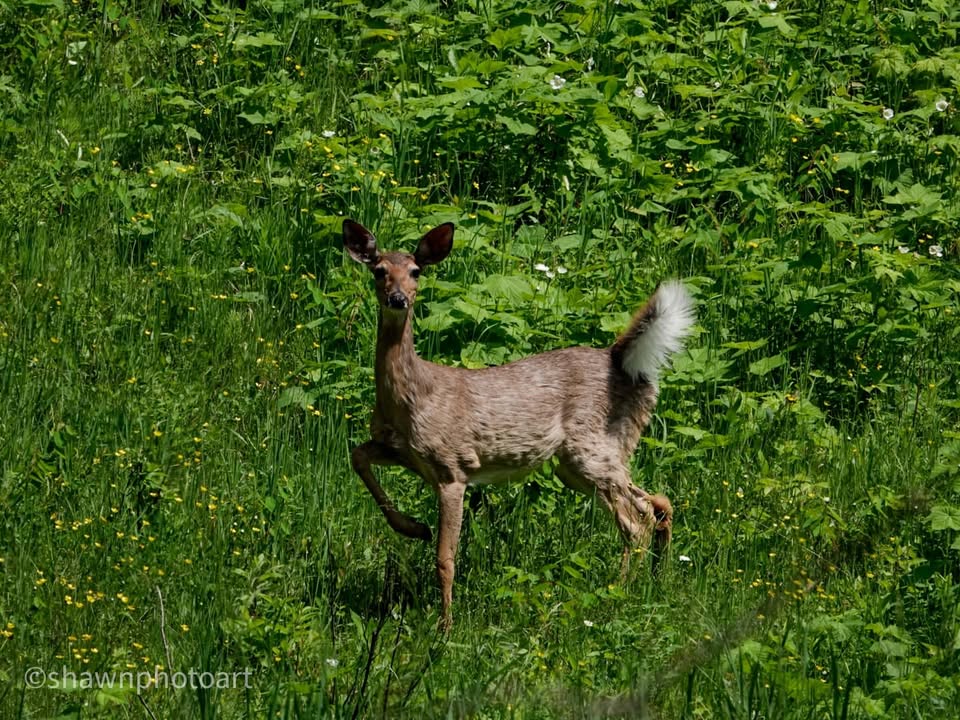 From the journey — Day 4, 13 June 2023
