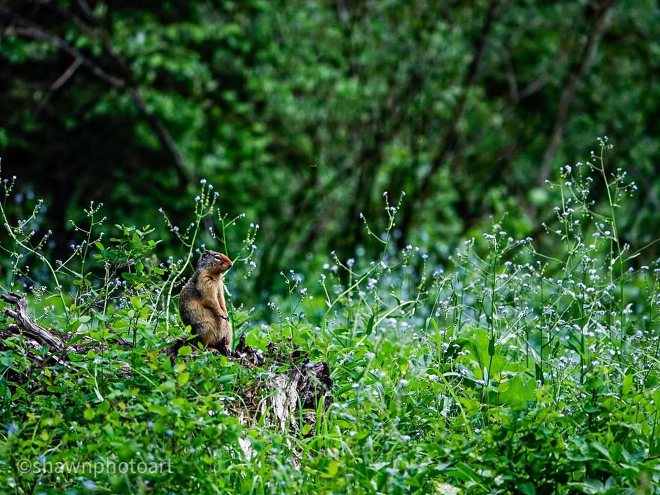 From the journey — Day 5, 14 June 2023