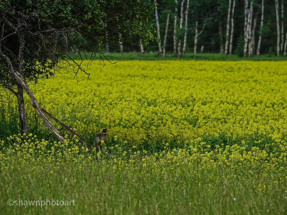 From the journey — Day 6, 15 June 2023