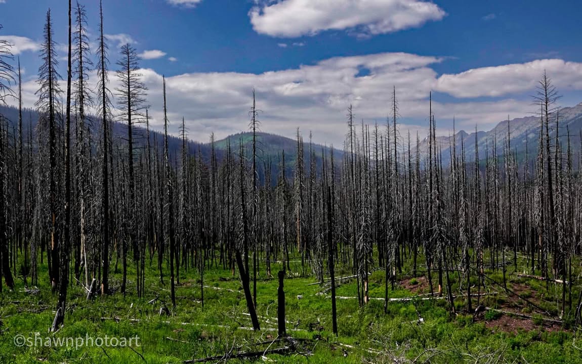 From the journey — Day 8, 18 June 2023