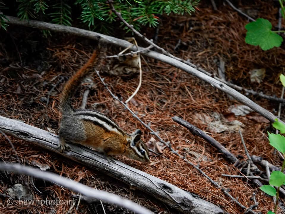 From the journey — Day 8, 18 June 2023