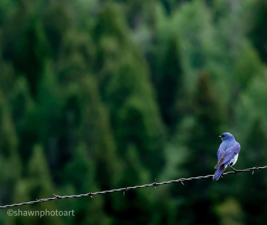 From the journey — Day 9, 18 June 2023