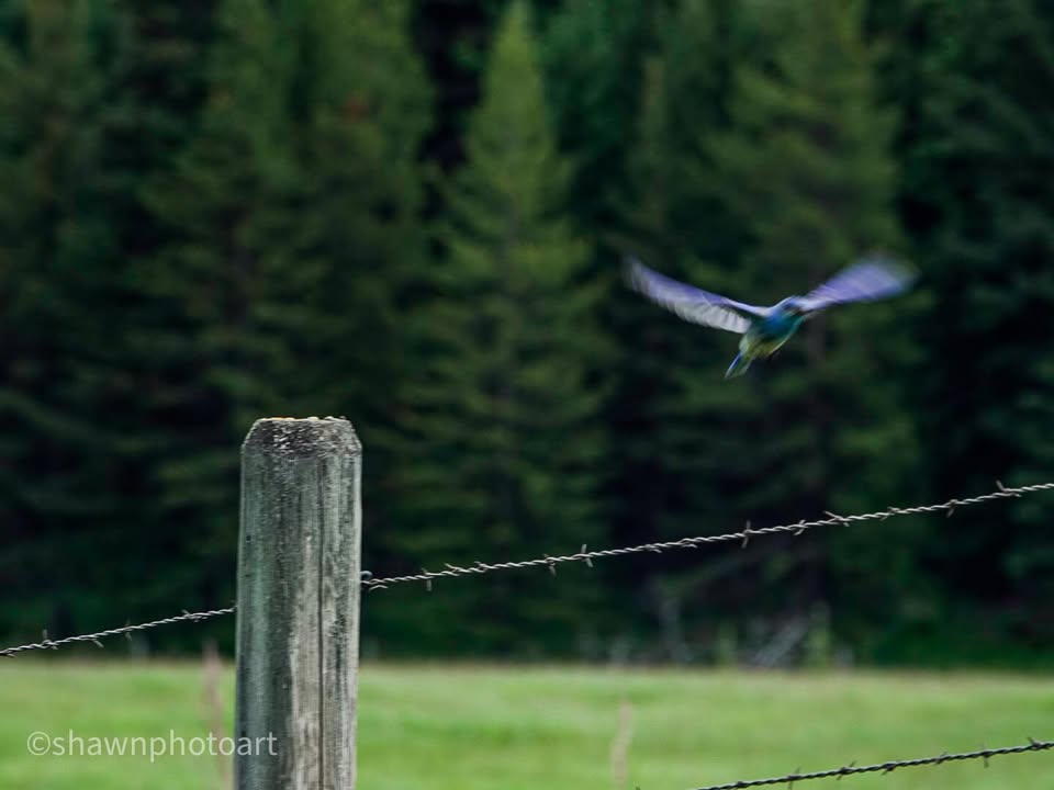 From the journey — Day 9, 18 June 2023